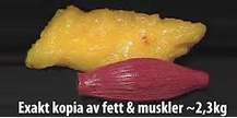 Fett vs muskler Fett vs muskler